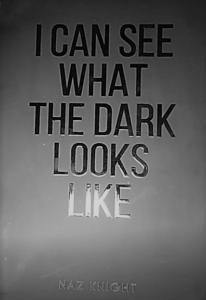 I Can See What The Dark Looks Like Book Cover